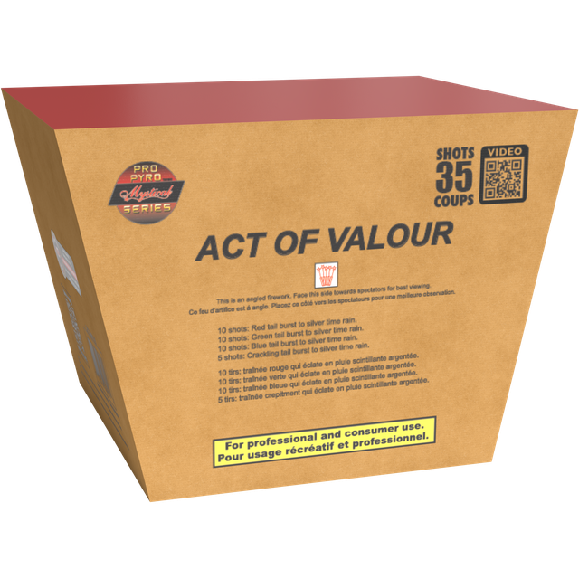 Act Of Valour