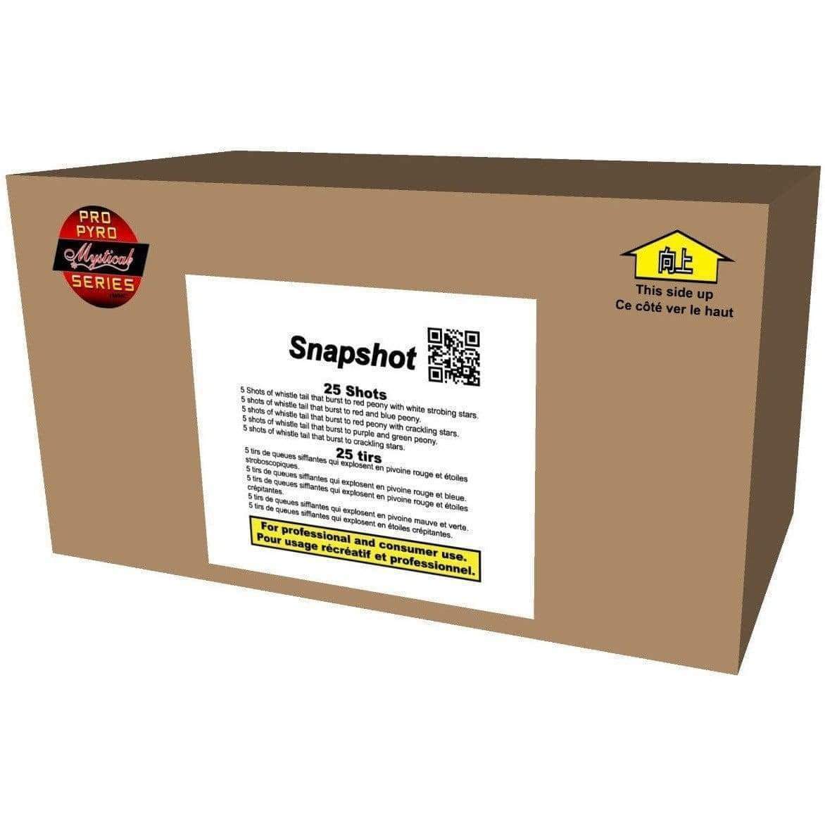 Snapshot Fireworks Central Ltd.