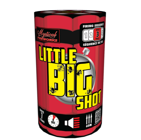 Little Big Shot