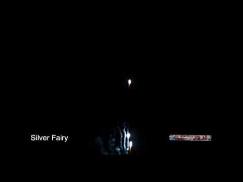 Silver Fairy  - 50% OFF