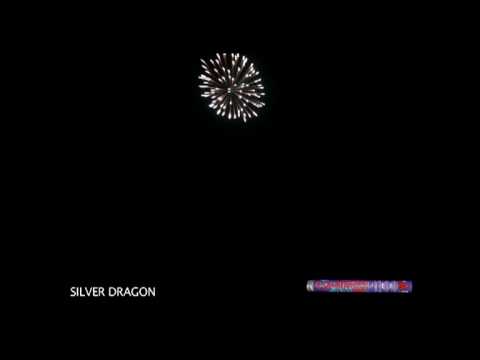 Silver Dragon
