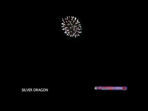 Silver Dragon  - 50% OFF