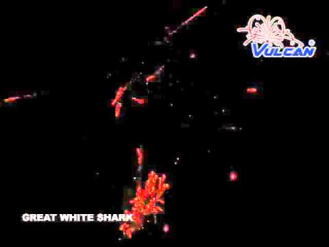 Great White Shark  - 50% OFF
