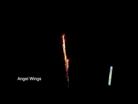 Angel Wings  - 50% OFF