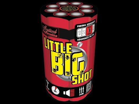 Little Big Shot